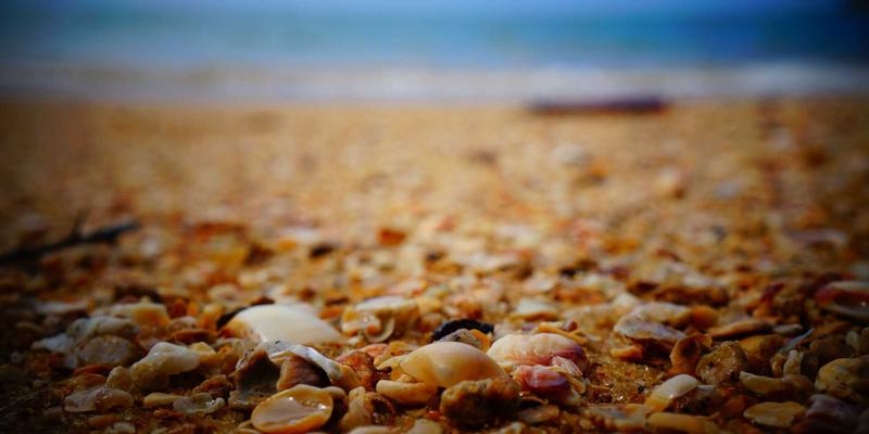 从极简到极美:用环保装饰材料,重塑可持续的家居美学