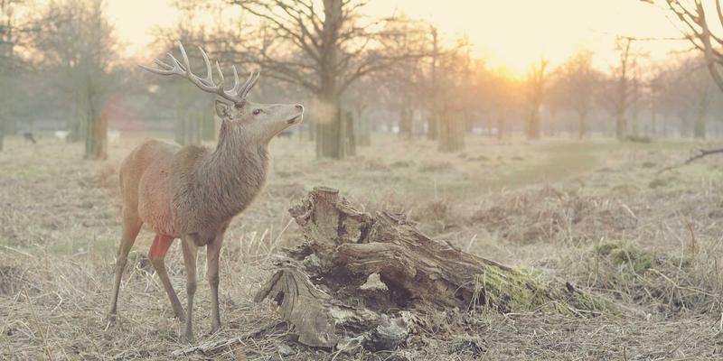 几何美学：如何用线条与形状，打造极简主义的‘美丽家’