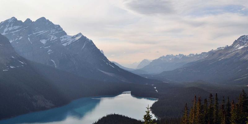 四季流转，家亦焕新：极简主义者的季节性家居装饰更换指南