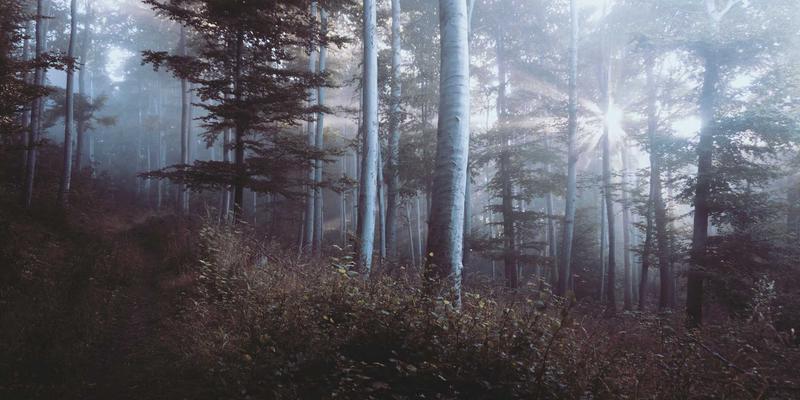 极简玄关：用减法设计，打造惊艳第一印象与超强收纳